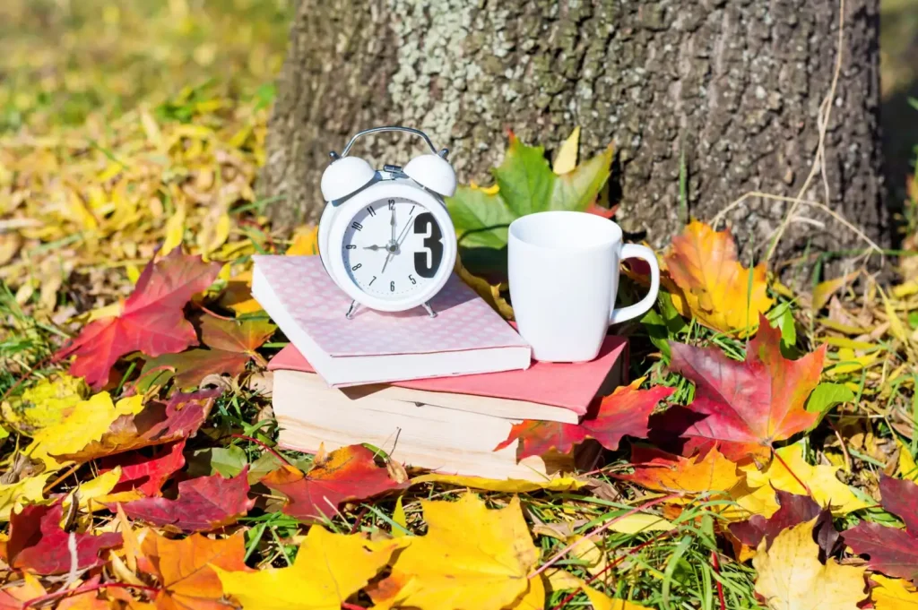 A white alarm clock, books, and a mug sit on fallen autumn leaves against a tree trunk.